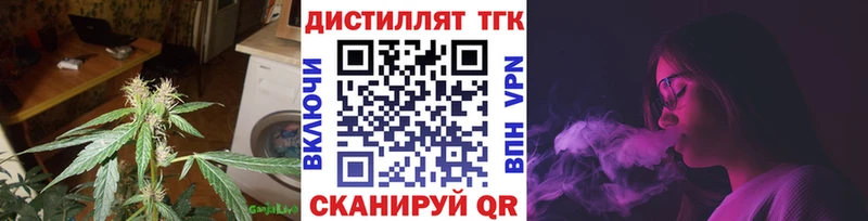 где найти   Тырныауз  ТГК концентрат 