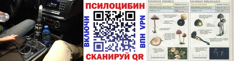 Псилоцибиновые грибы мицелий  Тырныауз 
