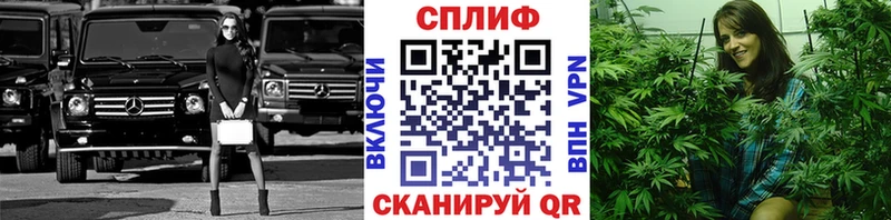 где продают наркотики Тырныауз Конопля планчик